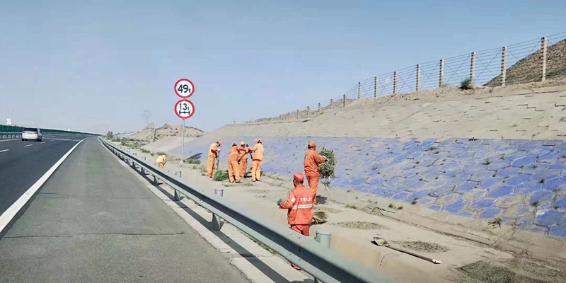 1623405023767762.jpg 清理路边杂草.jpg