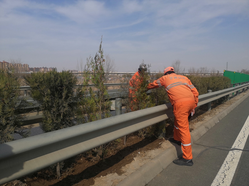 1617789998816212.jpg 绿化补植.jpg