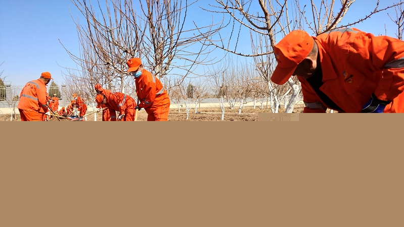 1616662165111584.jpg 机关人员下一线劳动.jpg