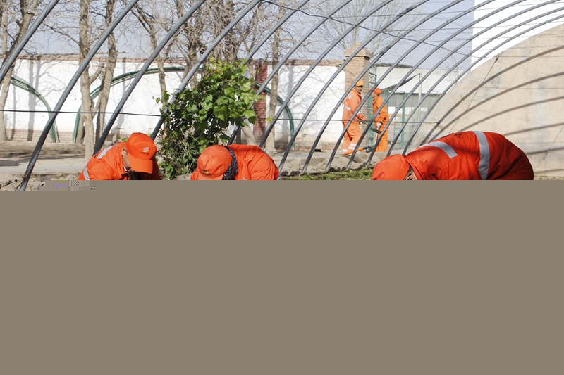 1616750413778824.jpg 职工们齐力拔除杂草.JPG