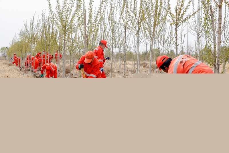 1587456877545441.jpg 拍摄者:陈银国 (2).jpg