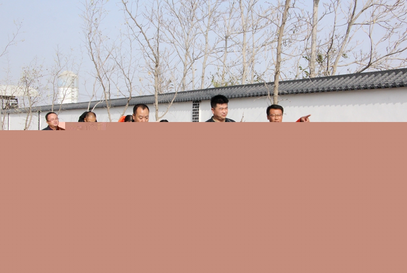 1604049276841598.jpg 现场查验“双化”工程实体.JPG