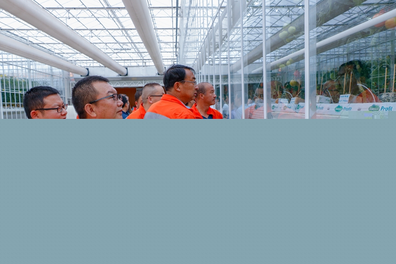 1596793469959614.jpg 民乐公路段组织干部职工参观民乐县海升现代智能温室工业化栽培示范项目番茄种植区(温生伟 摄).jpg