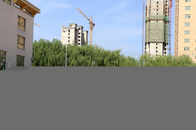 1596187217600118.jpg 男子1000米短跑.JPG