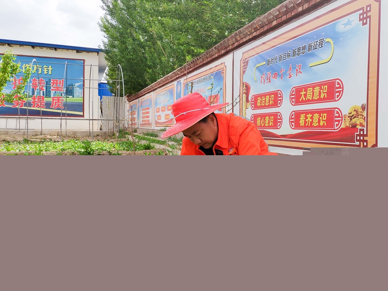 1622105512960157.jpg “下一线”干部整理菜园.jpg