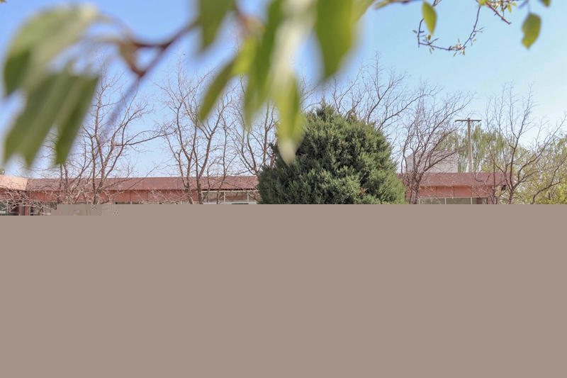 1587721252435086.jpg 品读书香。王海龙 摄.jpg