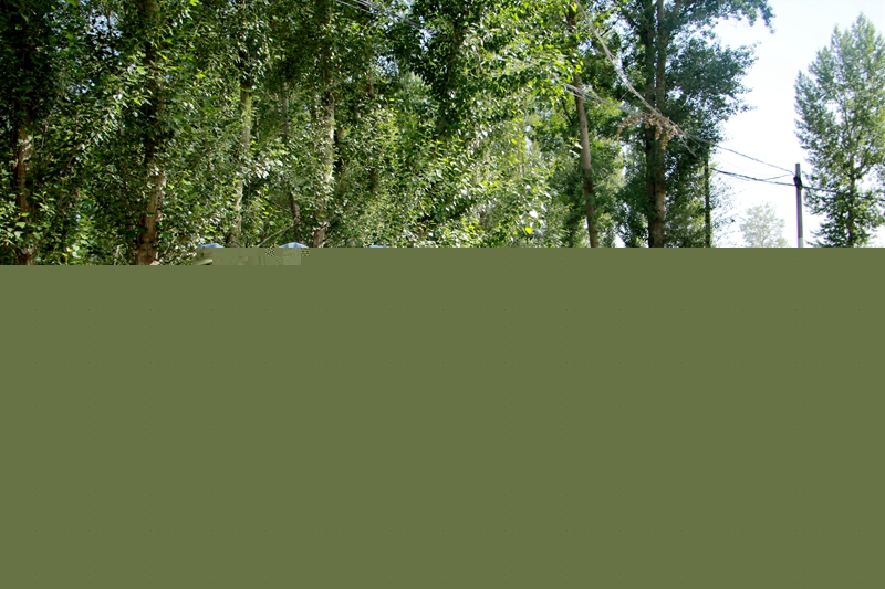 1593417764103758.jpg 徒步体验征战路.JPG