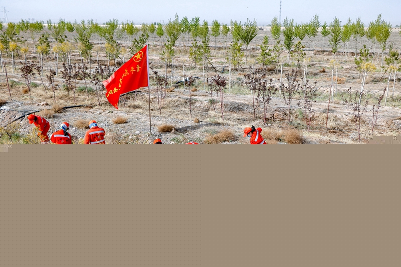 1622778363268576.jpg 参加义务植树活动(陈银国 摄).jpg