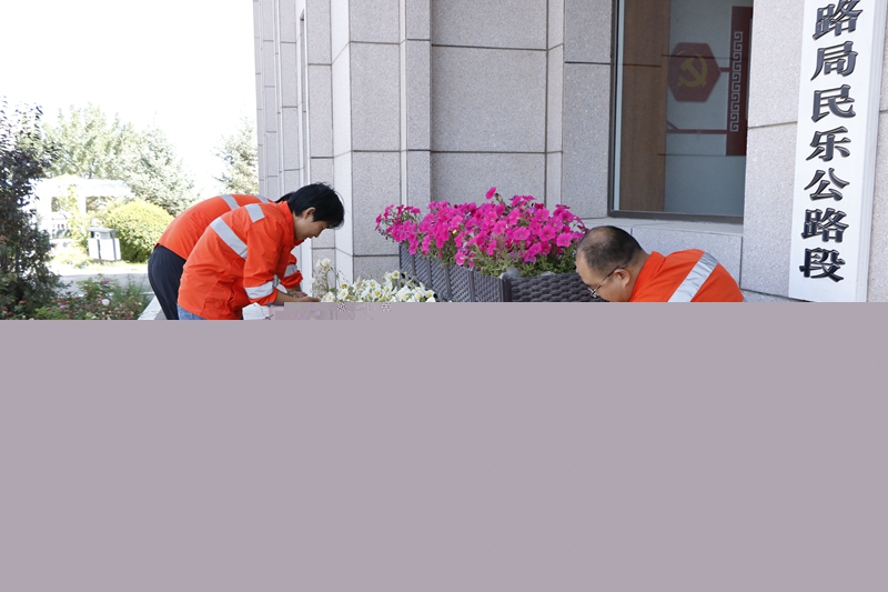 1629452766896500.jpg 清理花篮杂草(杨明月 摄).JPG