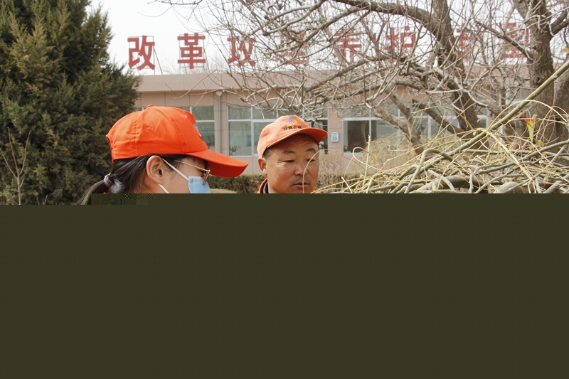 1616750398748483.jpg 青年职工学习树木修剪知识.JPG