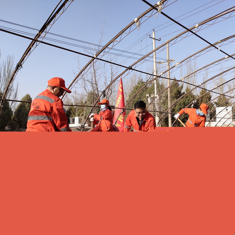 1617787181741157.jpg 整理大棚成建华摄 (2).jpg