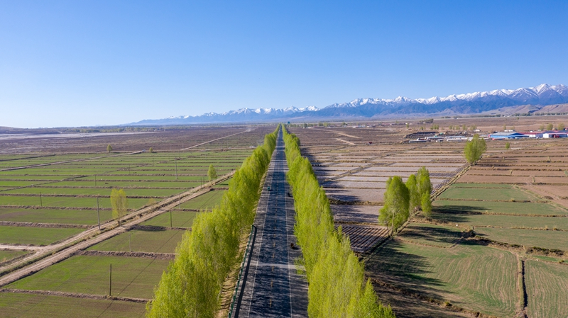 1620976560846964.jpg 初夏最美国道227线(钟晓亮 摄) (2).jpg