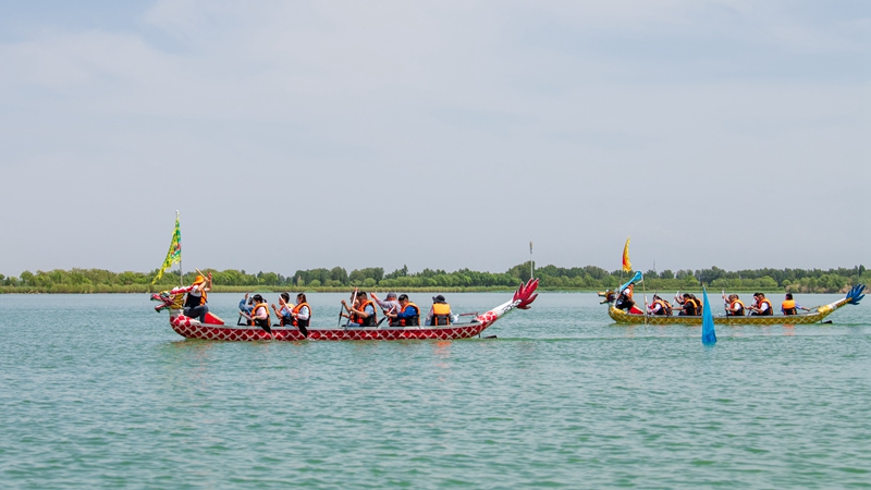 1623141637943879.jpg _DSC8019.jpg