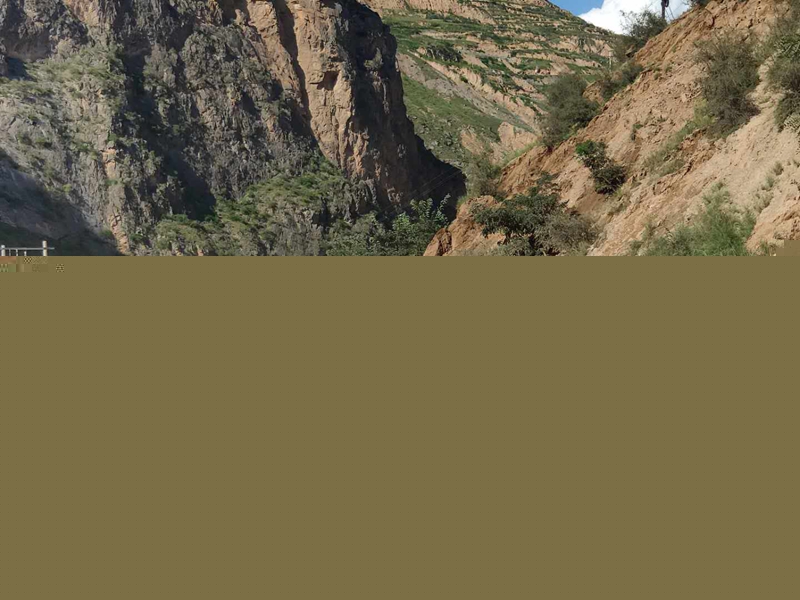 2  对滑坡路段进行管控.jpg