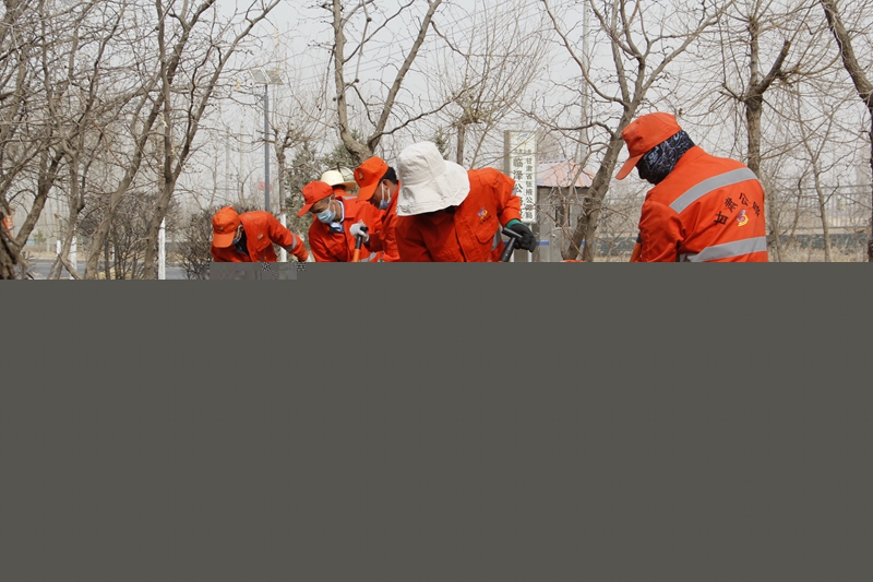 1616750405137483.jpg 热火朝天的翻地施肥.JPG