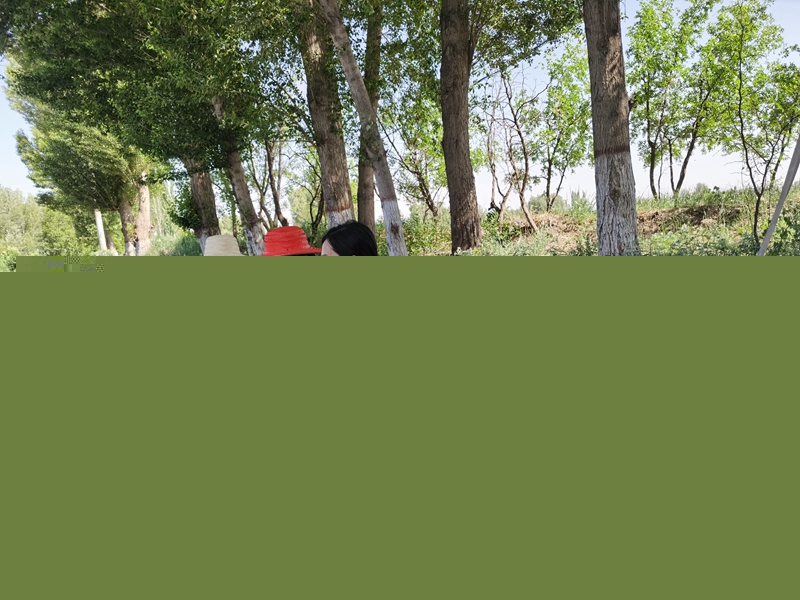 1622192075481964.jpg 王熙敏副局长对养护生产工作进行检查(王小兵摄).jpg