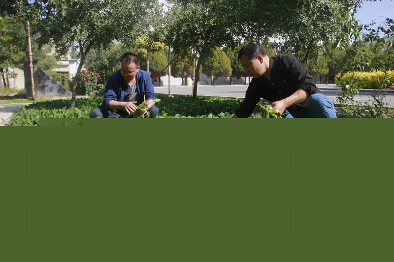 1603271328417125.jpg _MG_6410.JPG