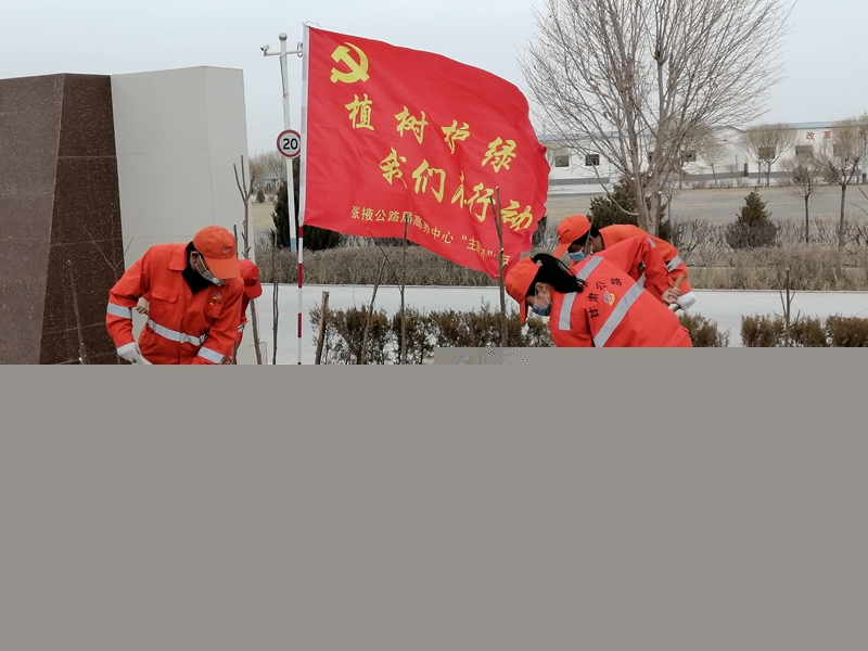 开展“植树护绿、我们在行动”绿化活动——杨丽虹 摄...jpg