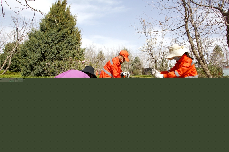 1619082963187711.jpg 职工们一起种植花苗.JPG