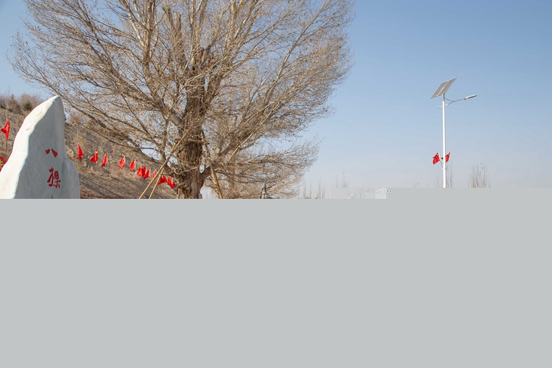 1573204408183987.jpg 2.在八棵树公路文化广场重温入党誓词.jpg