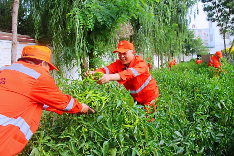 1605605889737562.jpg 1605605889737562.jpg