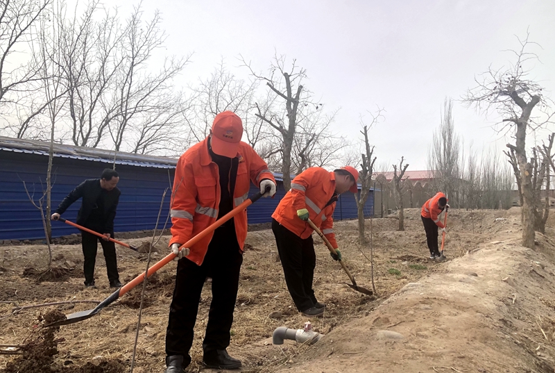 1586425807583517.jpg 整平土地.JPG