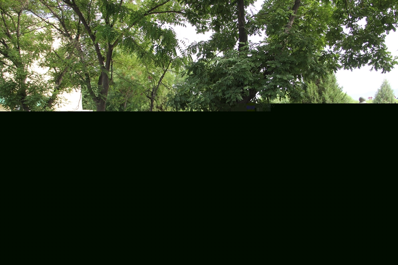 1591691132413238.jpg 世界环境日宣传横幅.JPG