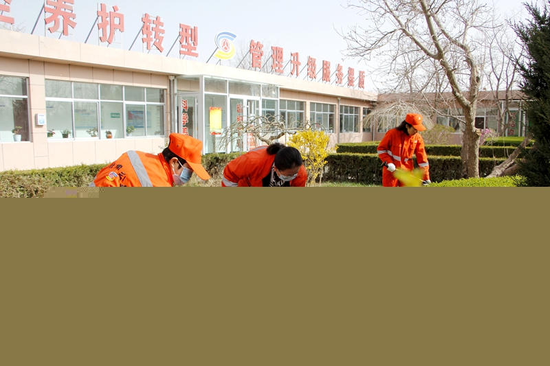 1619082971936895.jpg 职工清理草丛中杂物.JPG